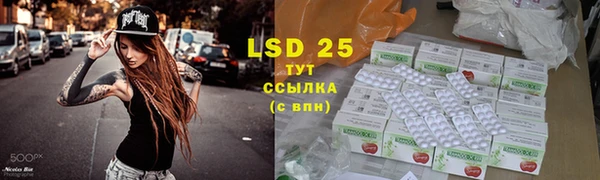 a pvp Аркадак
