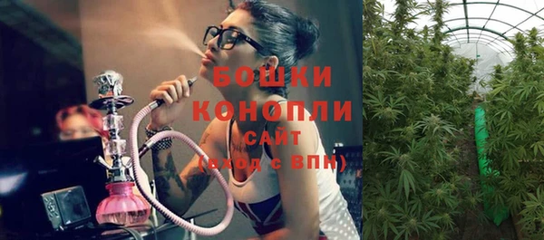 ГАЛЛЮЦИНОГЕННЫЕ ГРИБЫ Арсеньев