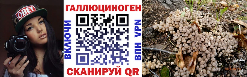 mega ссылка  Усмань  Галлюциногенные грибы Psilocybine cubensis 